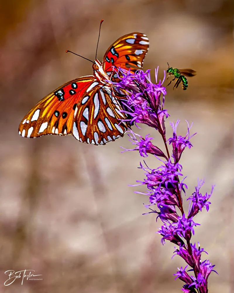 20231019-SASP 2023 -102.jpg