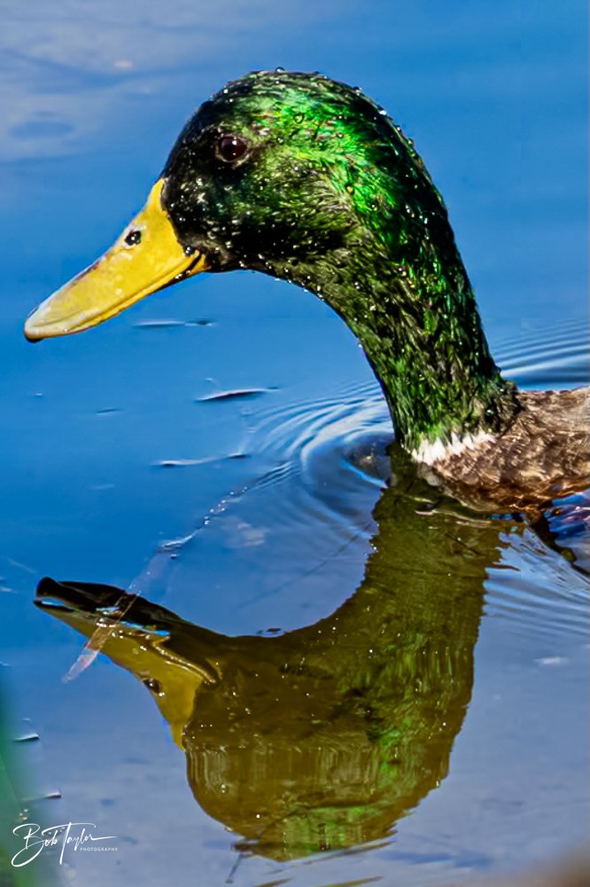 20231018-SASP 2023 -46.jpg