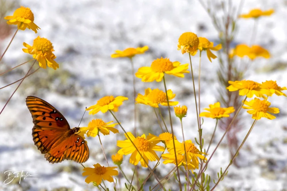 20231022-SASP 2023 -184.jpg