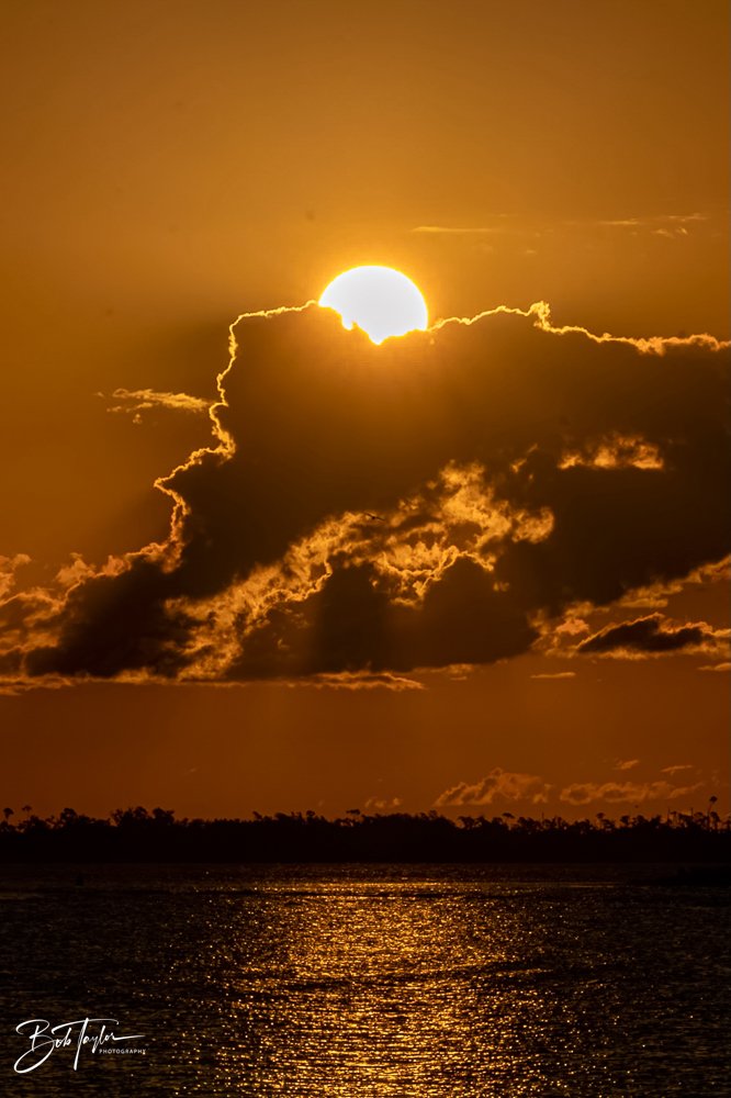 20231020-SASP 2023 -122.jpg