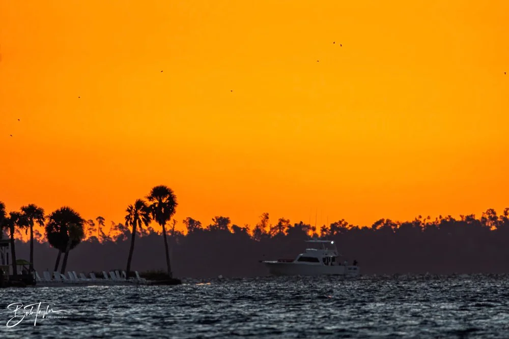 20231024-SASP 2023 -210.jpg