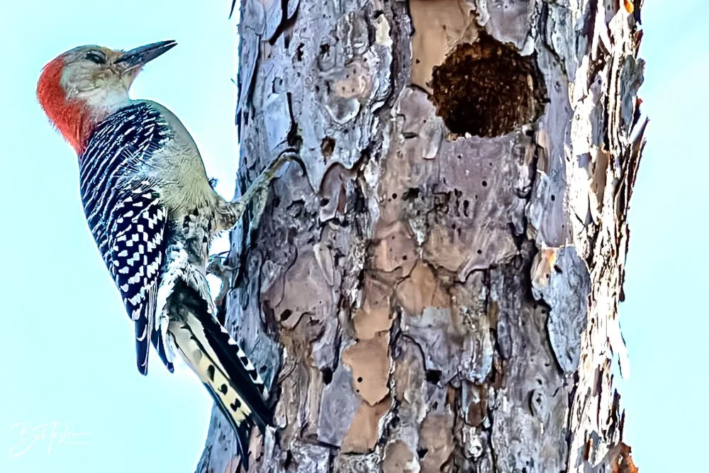 20231020-SASP 2023 -127.jpg