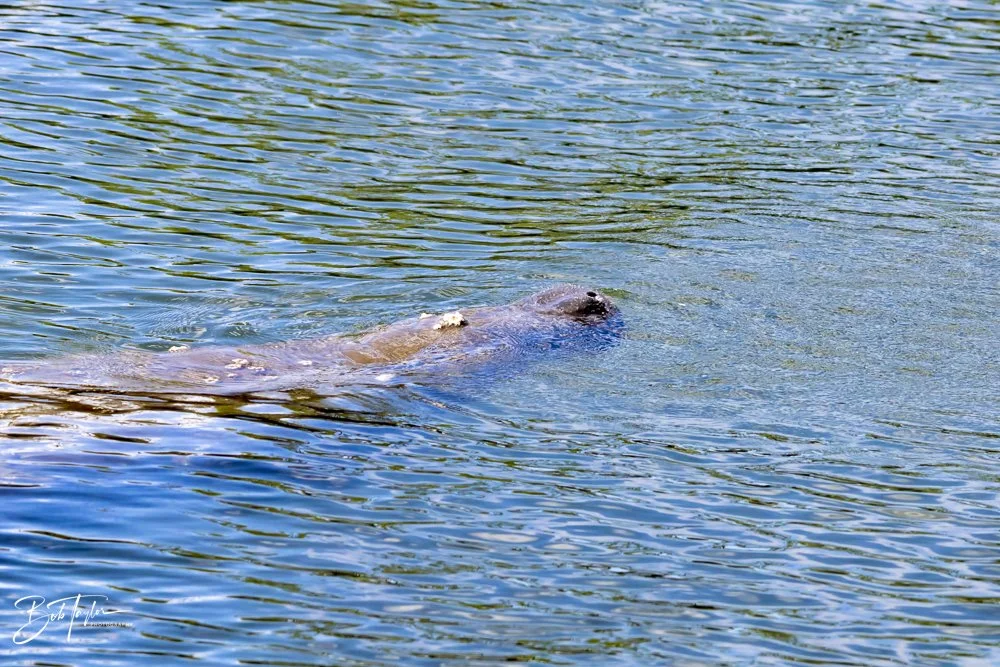 20231020-SASP 2023 -132.jpg