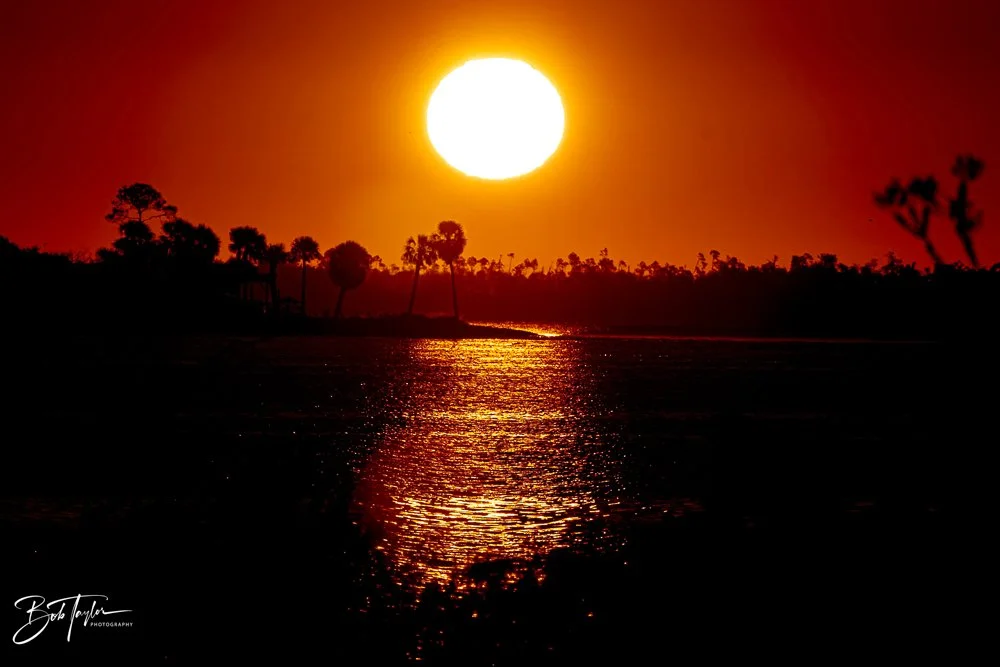 20231017-SASP 2023 -4.jpg