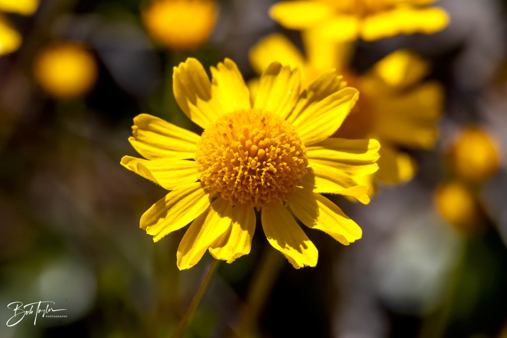 20231020-SASP 2023 -138.jpg