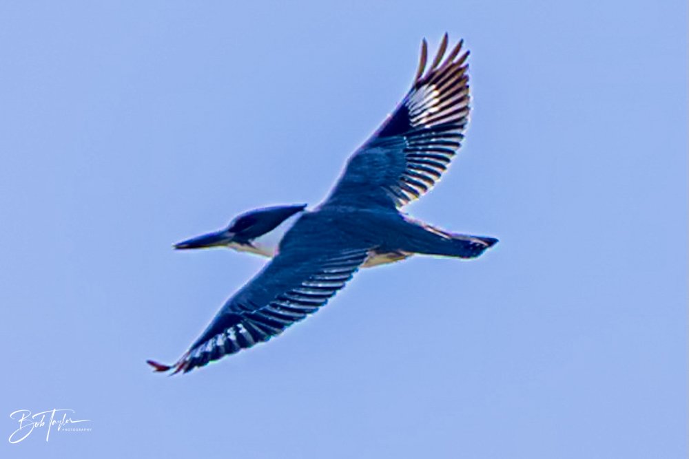 20231018-SASP 2023 -39.jpg