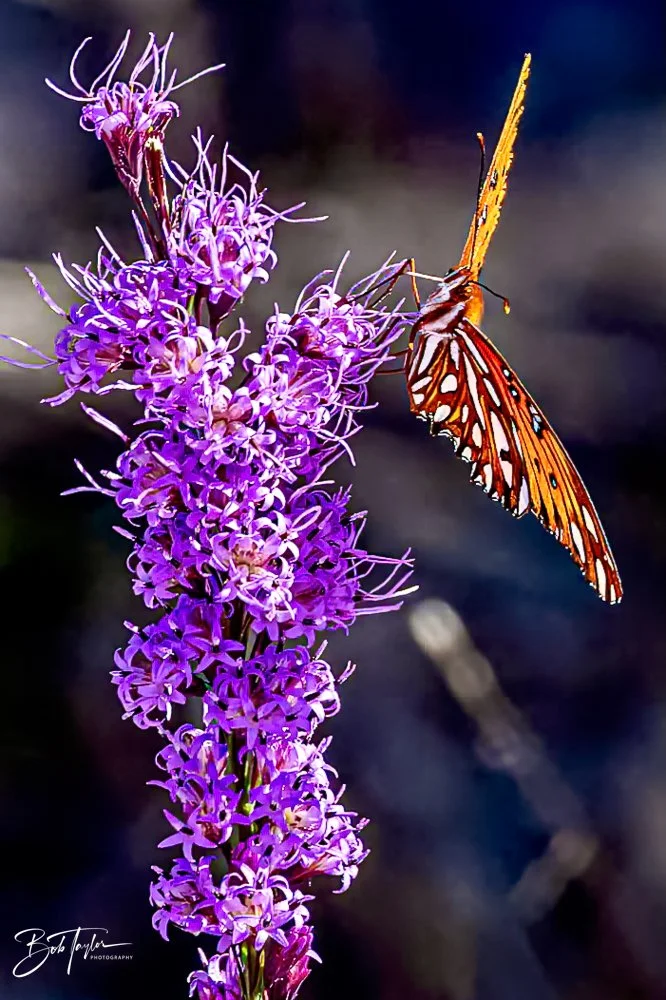 20231019-SASP 2023 -99.jpg