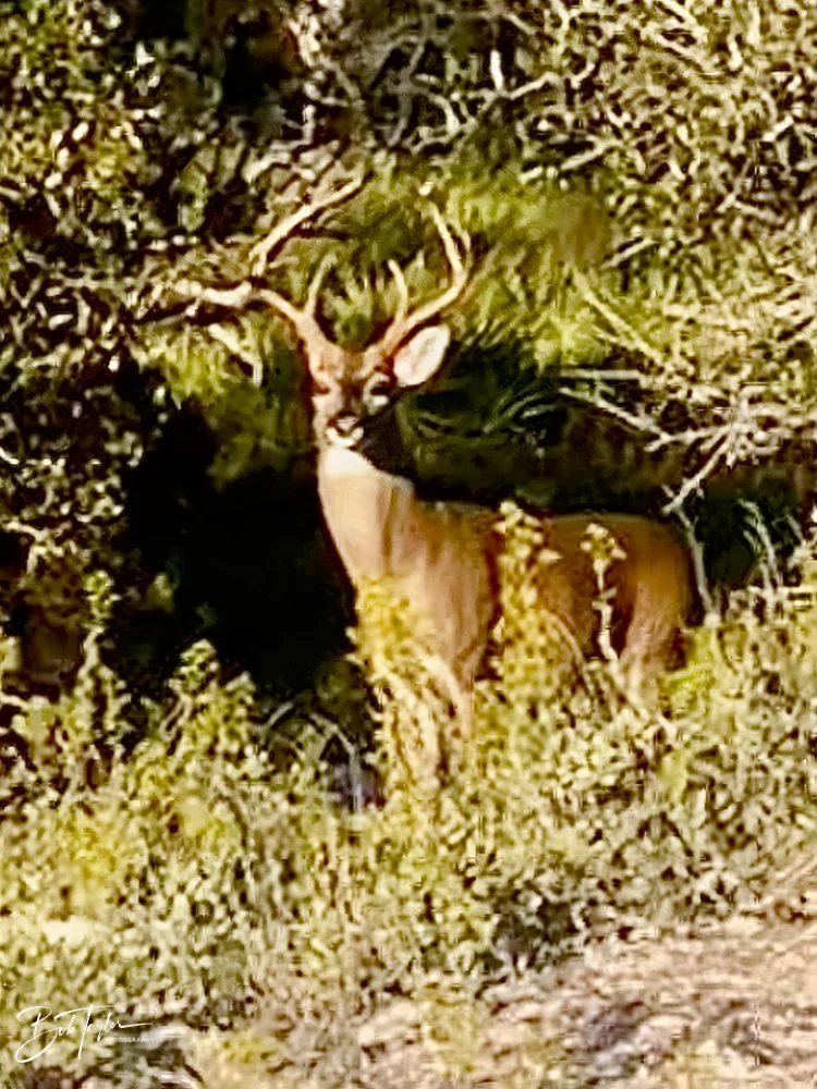 20231020-SASP 2023 -144.jpg