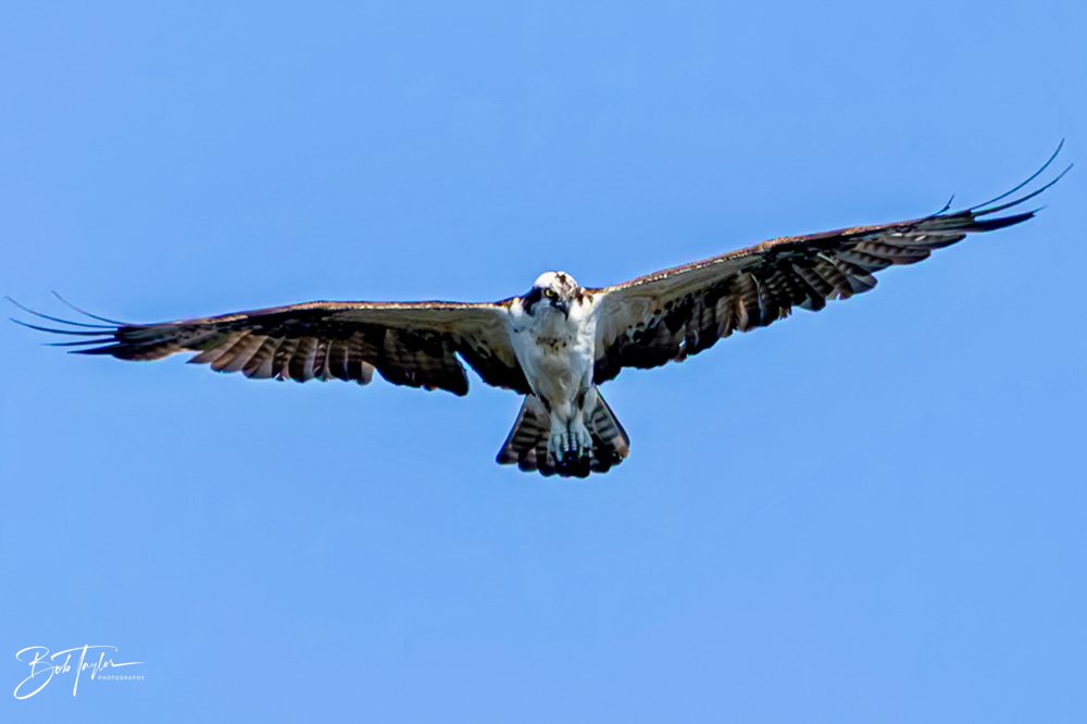 20231018-SASP 2023 -36.jpg