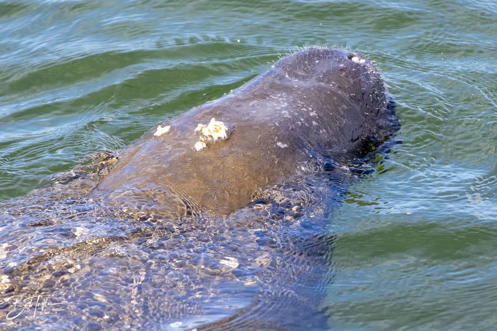 20231020-SASP 2023 -135.jpg