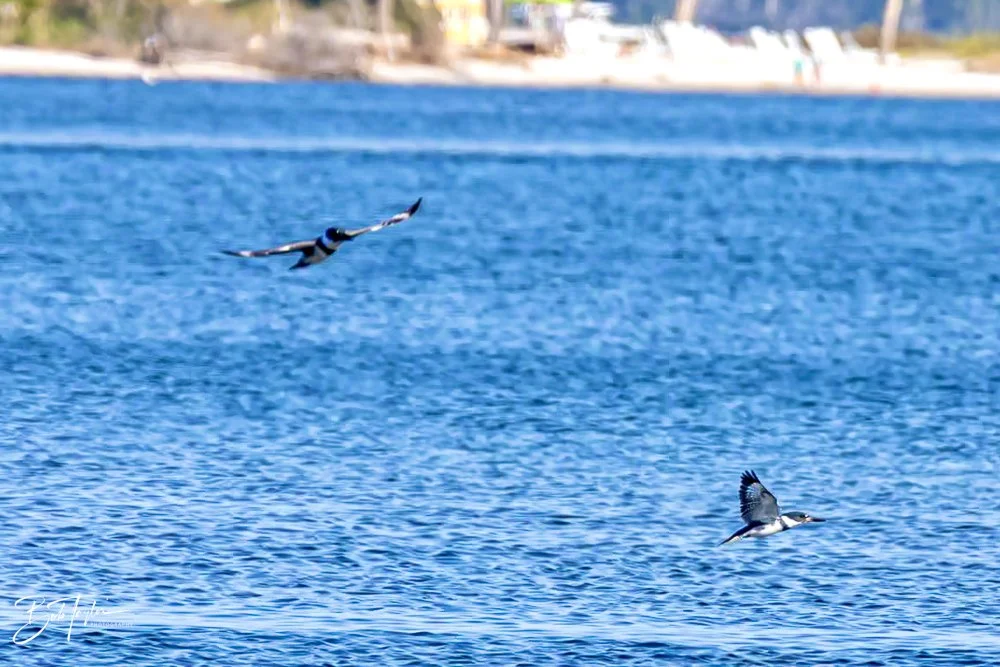 20231018-SASP 2023 -41.jpg