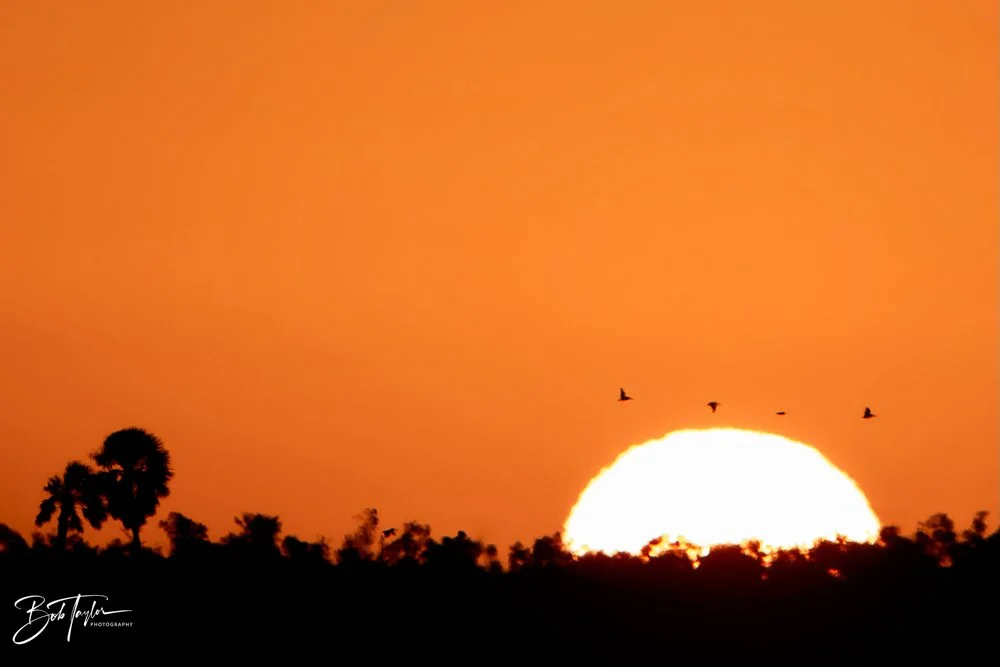 20231024-SASP 2023 -212.jpg