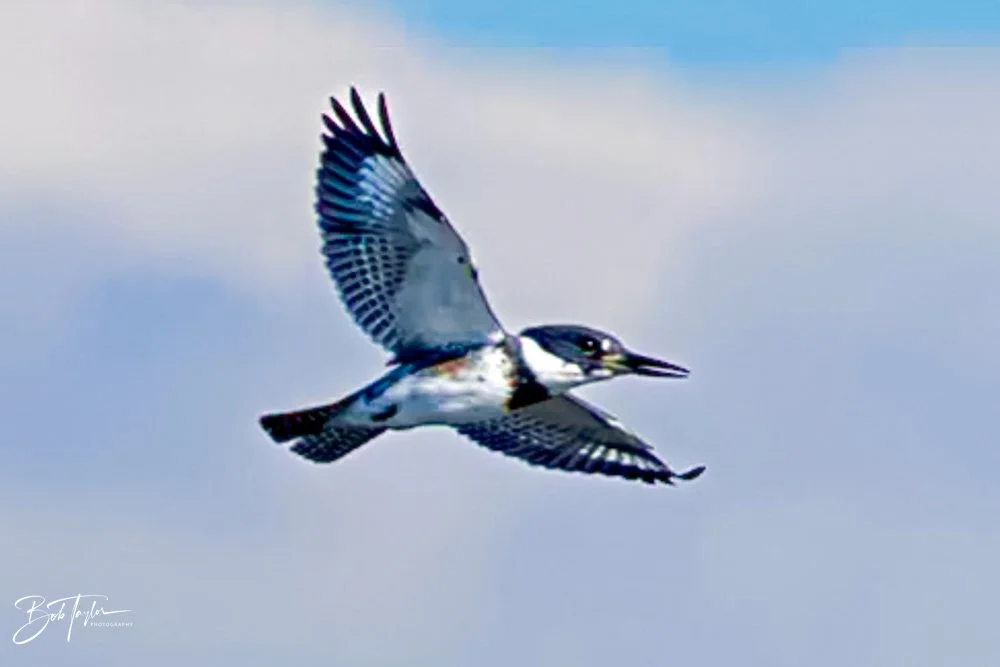 20231018-SASP 2023 -50.jpg