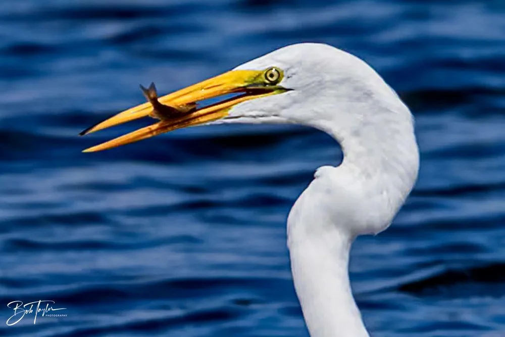 20231020-SASP 2023 -142.jpg