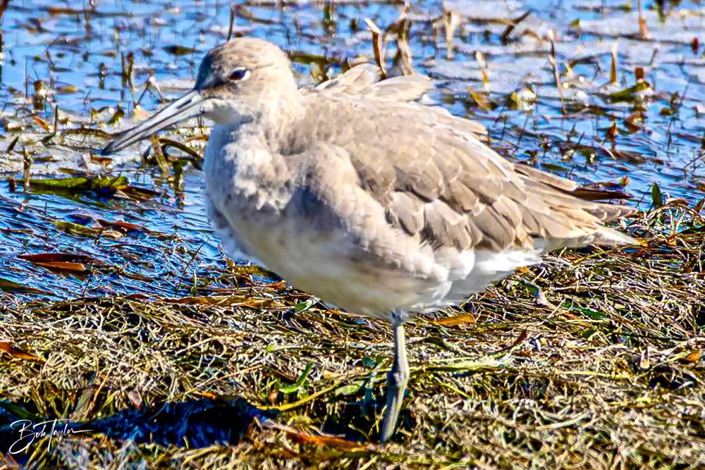 20231017-SASP 2023 -13.jpg