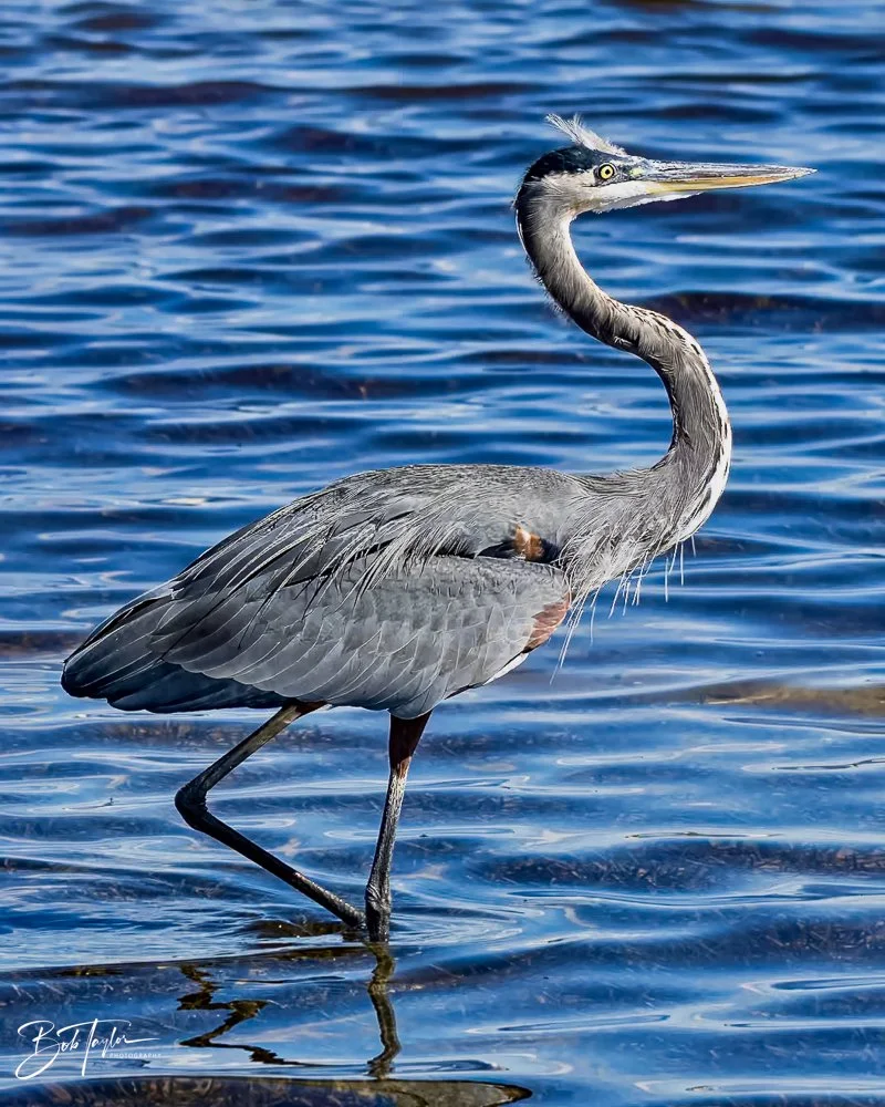 20231017-SASP 2023 -19.jpg