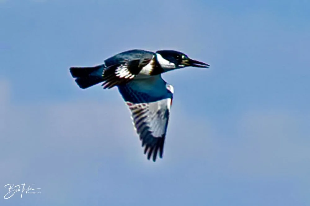 20231018-SASP 2023 -52.jpg