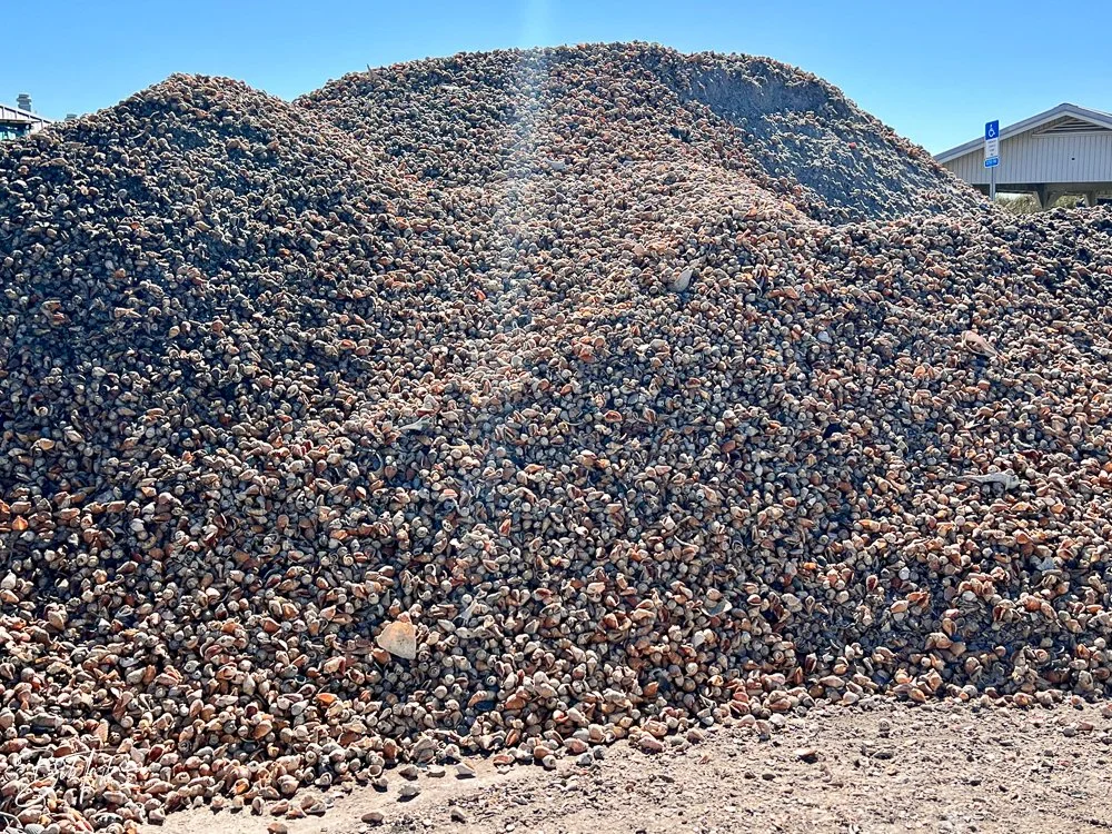 20231024-SASP 2023 -220.jpg