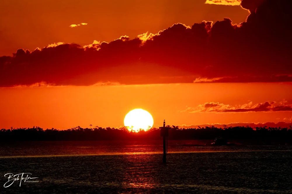 20231020-SASP 2023 -119.jpg