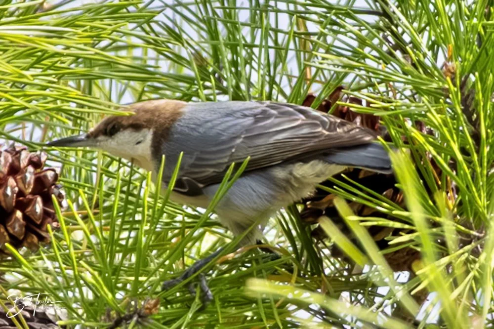 20231022-SASP 2023 -195.jpg