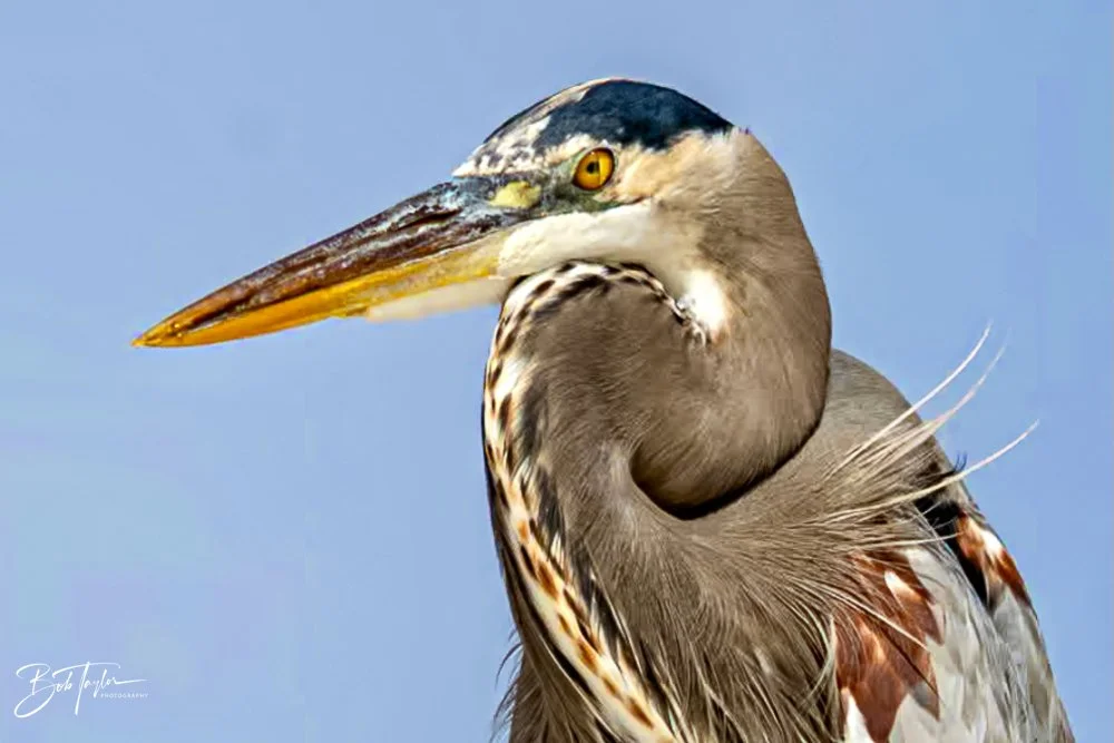 20231023-SASP 2023 -208.jpg