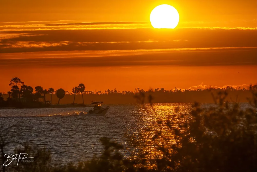 20231019-SASP 2023 -97.jpg