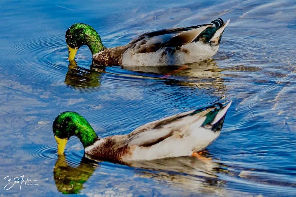 20231018-SASP 2023 -45.jpg