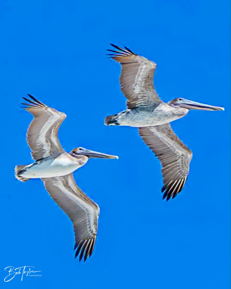 20231018-SASP 2023 -30.jpg