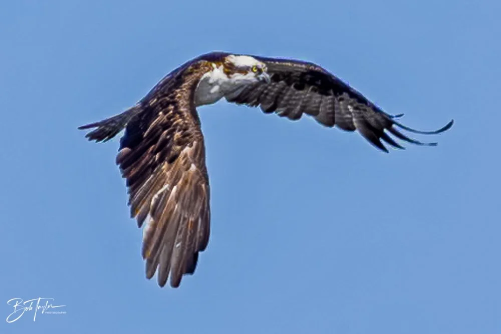 20231018-SASP 2023 -35.jpg