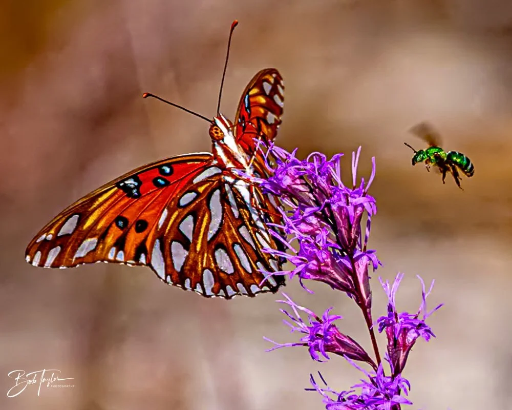 20231019-SASP 2023 -103.jpg