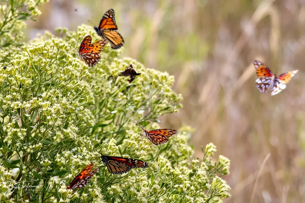 20231023-SASP 2023 -201.jpg