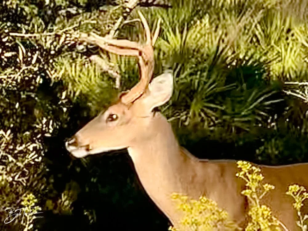 20231020-SASP 2023 -145.jpg