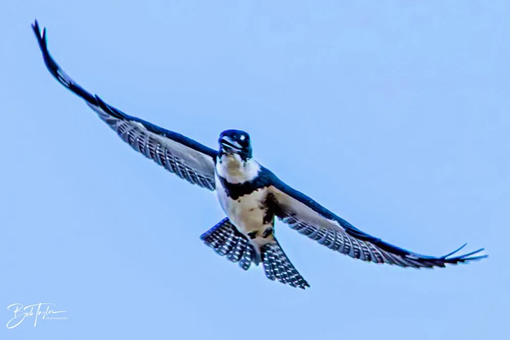 20231018-SASP 2023 -42.jpg