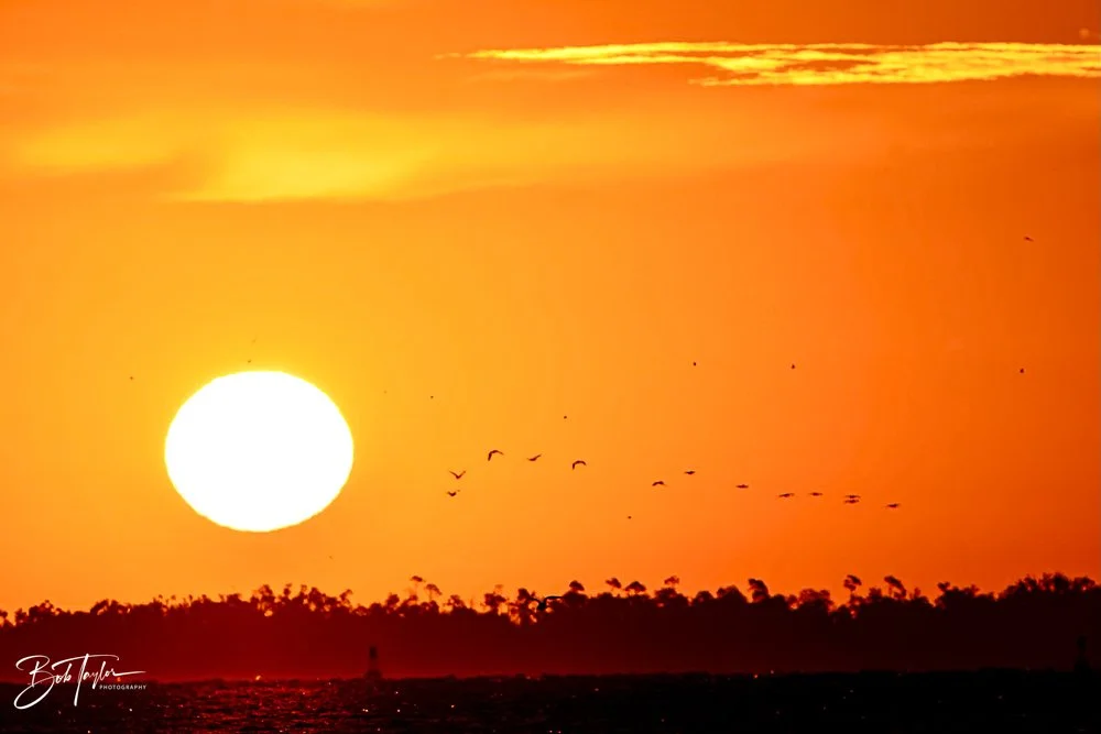 20231024-SASP 2023 -218.jpg