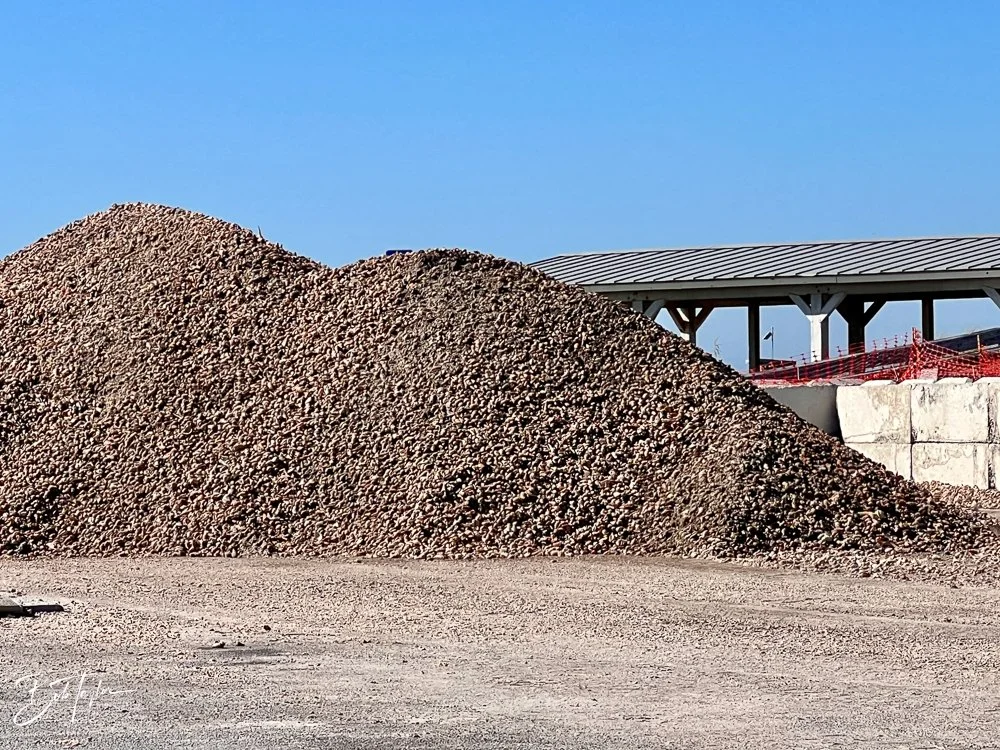 20231024-SASP 2023 -219.jpg