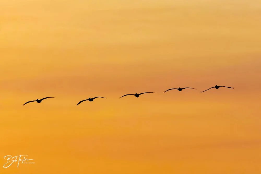 20231018-SASP 2023 -88.jpg