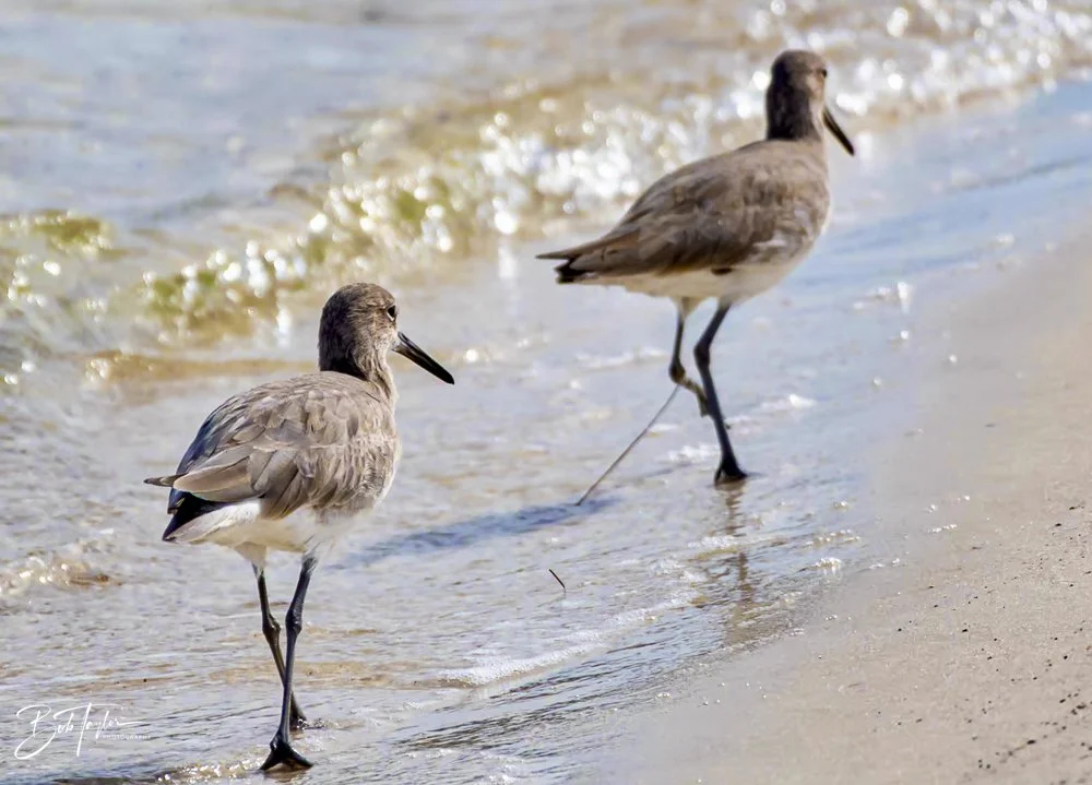 20231023-SASP 2023 -202.jpg