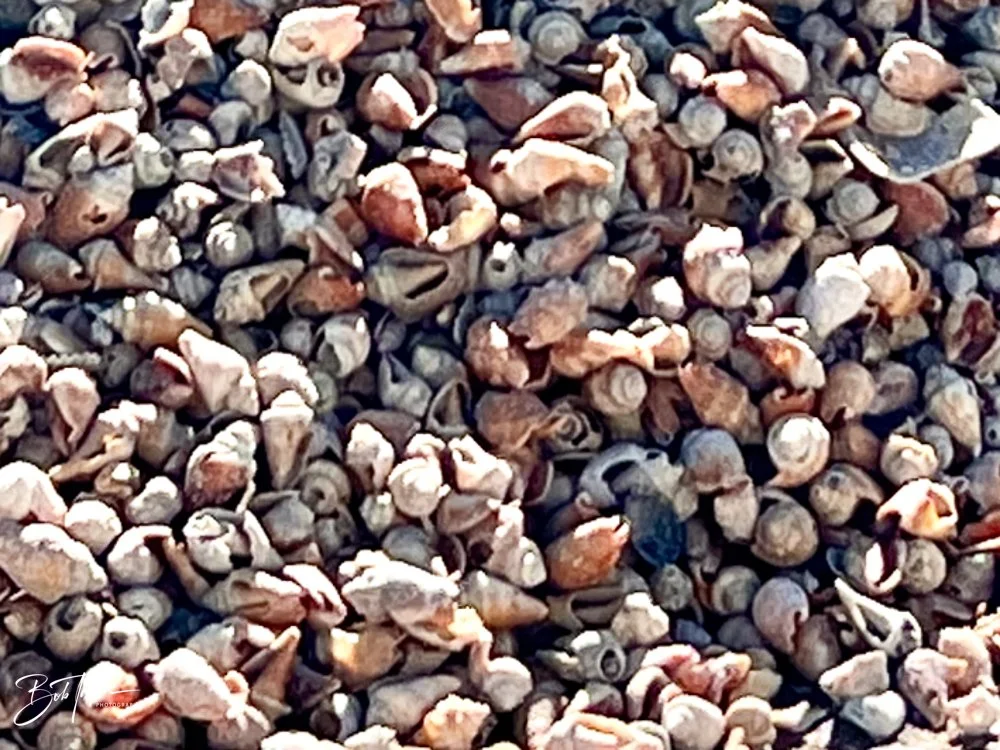 20231024-SASP 2023 -221.jpg