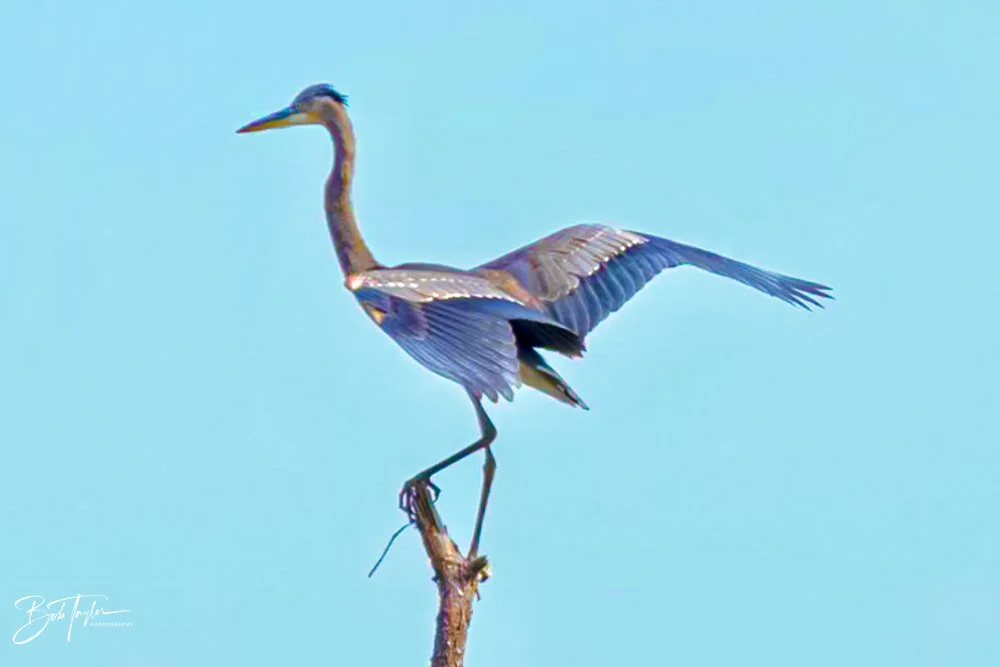 20231022-SASP 2023 -186.jpg