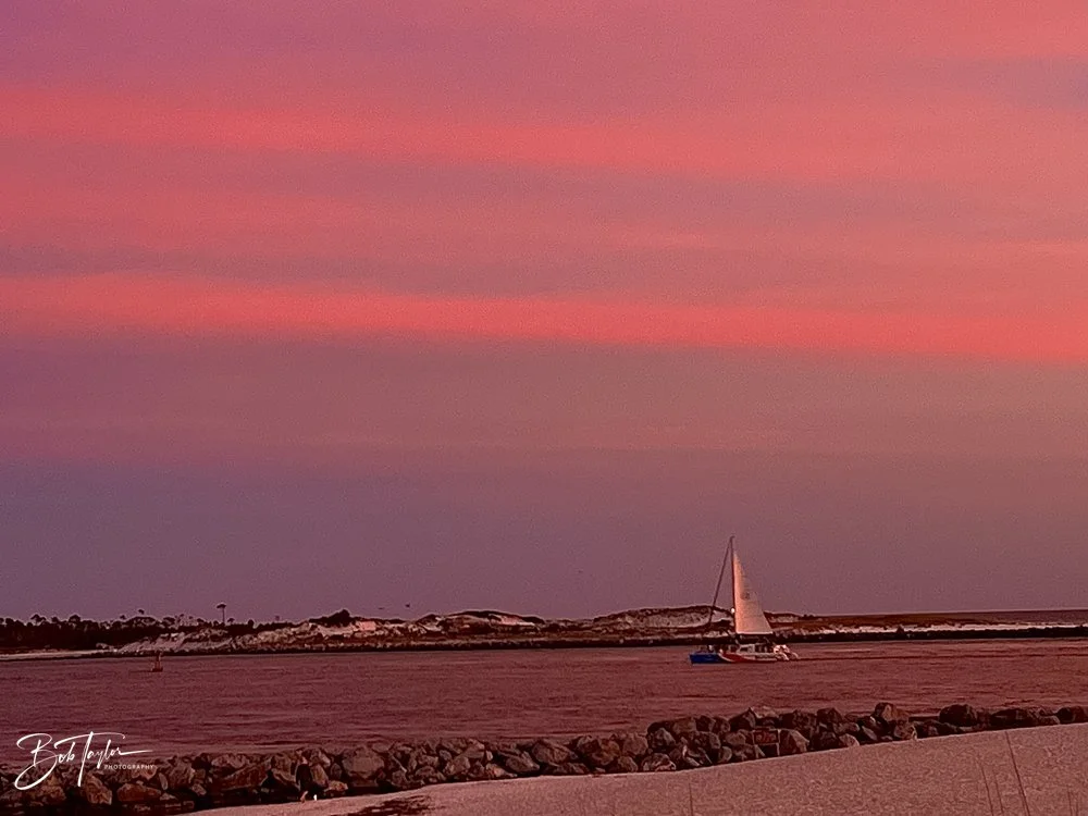 20231021-SASP 2023 -156.jpg