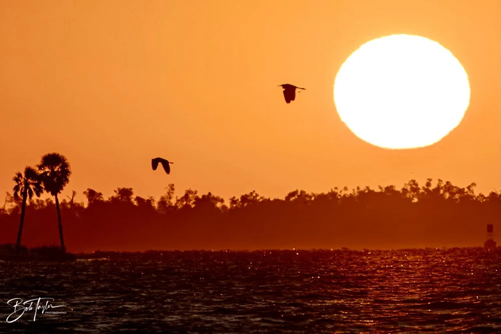 20231024-SASP 2023 -215.jpg