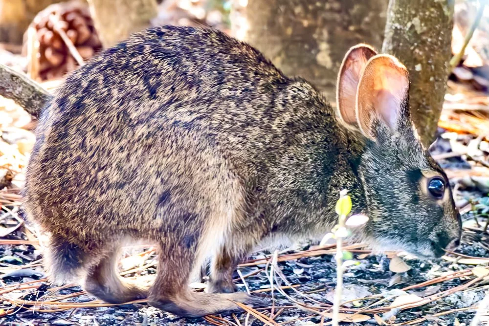 20231018-SASP 2023 -44.jpg