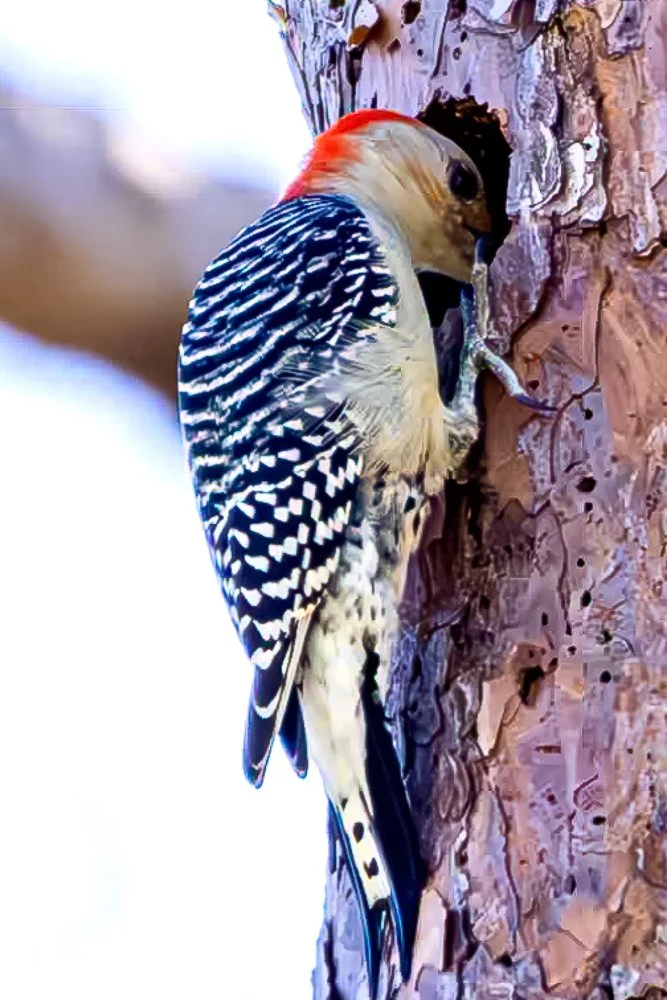 20231020-SASP 2023 -128.jpg