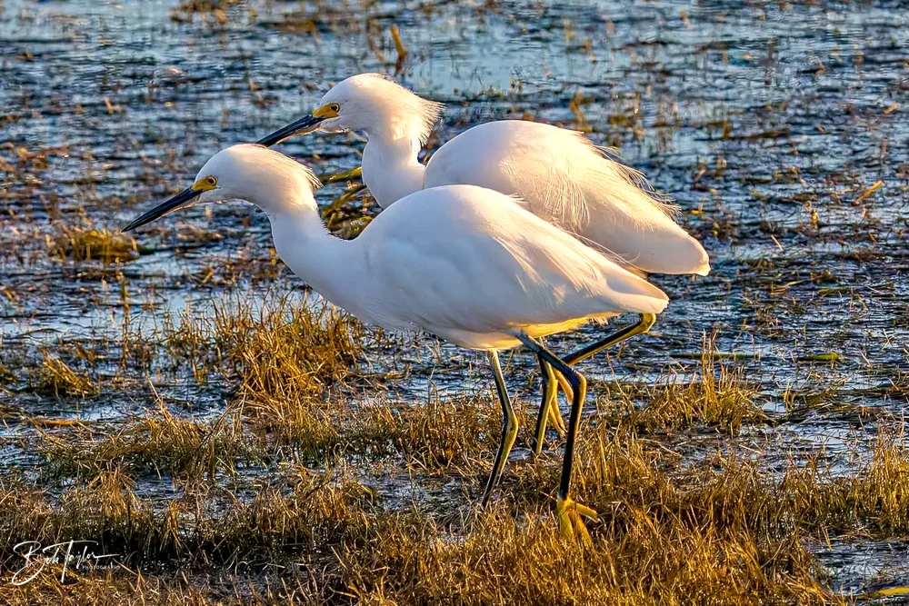 20231017-SASP 2023 -7.jpg