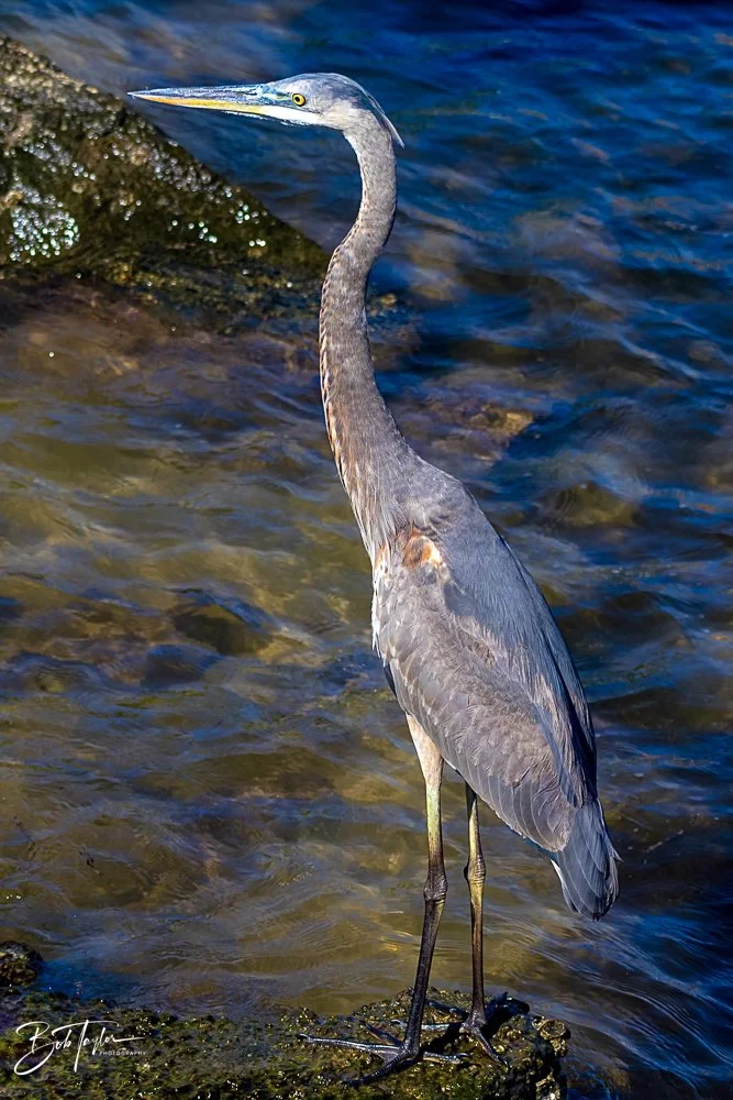 20231020-SASP 2023 -130.jpg