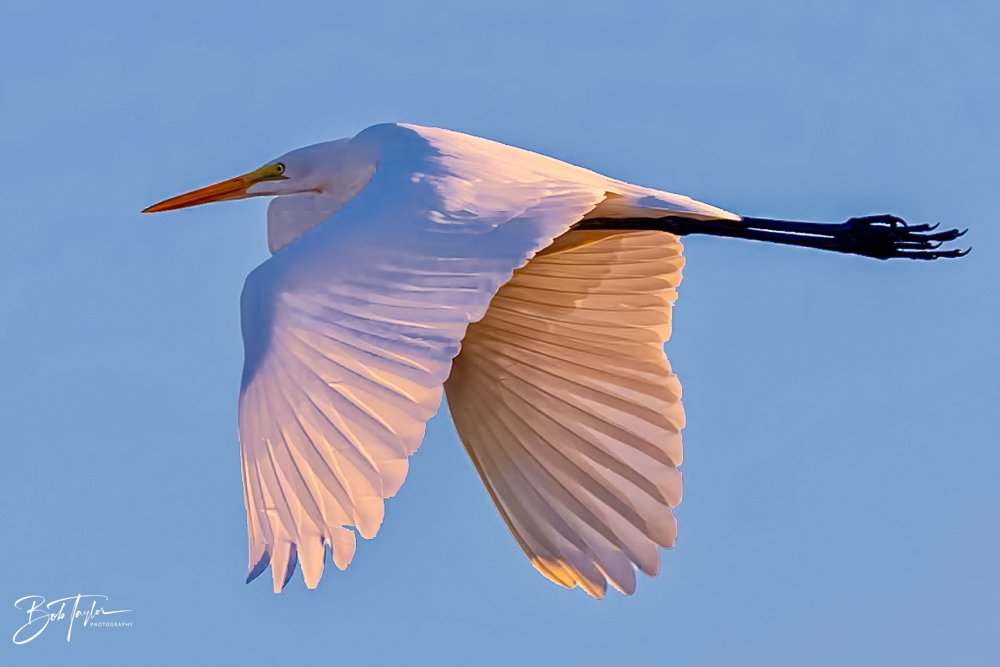 20231017-SASP 2023 -5.jpg