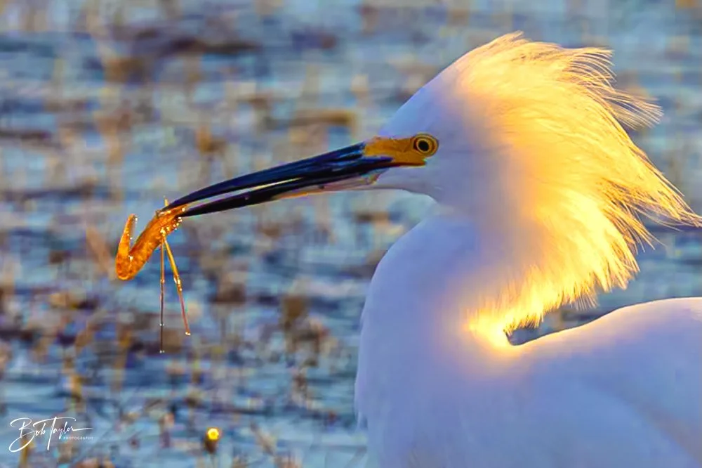 20231017-SASP 2023 -10.jpg