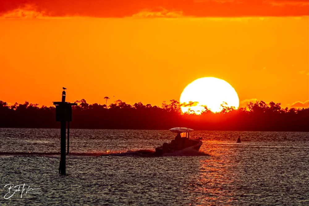 20231020-SASP 2023 -118.jpg