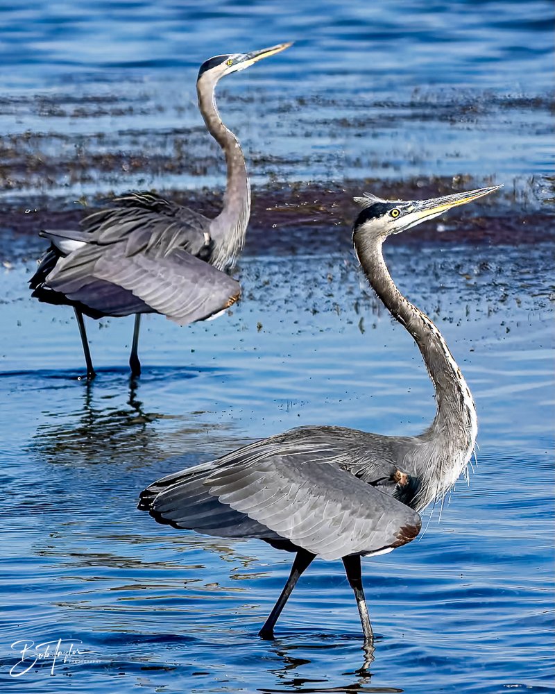 20231017-SASP 2023 -18.jpg