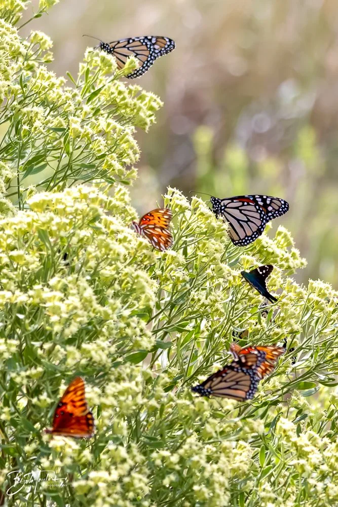 20231023-SASP 2023 -198.jpg